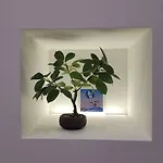 Apartamento Casa Mior-casa In Centro *